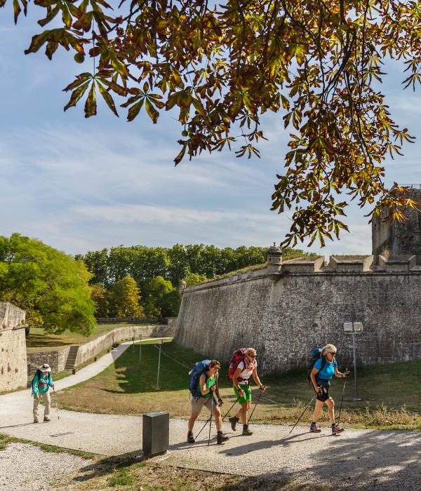 Zer gehiago da Iruña?